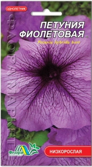 Семена Петунии фиолетовая