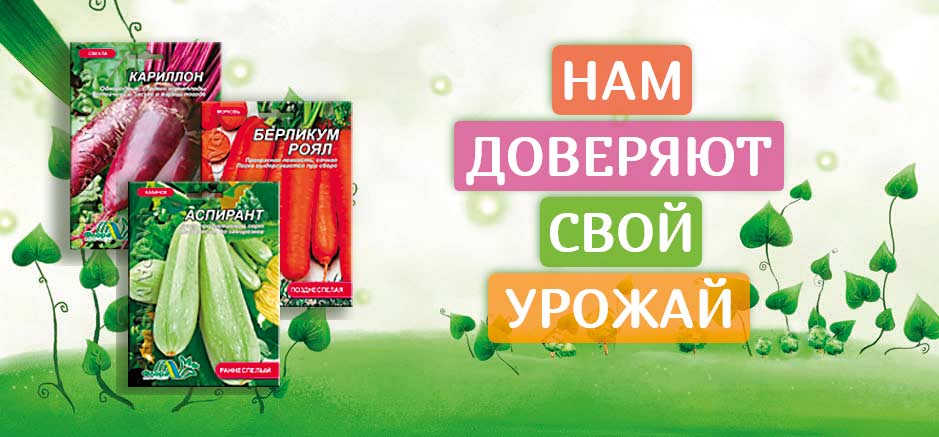 Семена овощей оптом в Украине