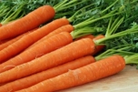 Найкращі і корисні сорти моркви