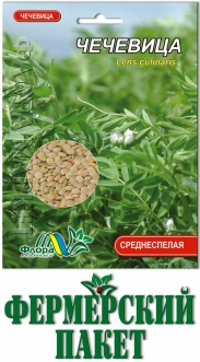 Семена Чечевицы фермер