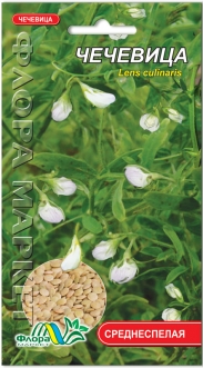 Семена Чечевицы