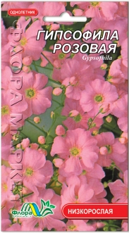 Семена Гипсофилы розовой